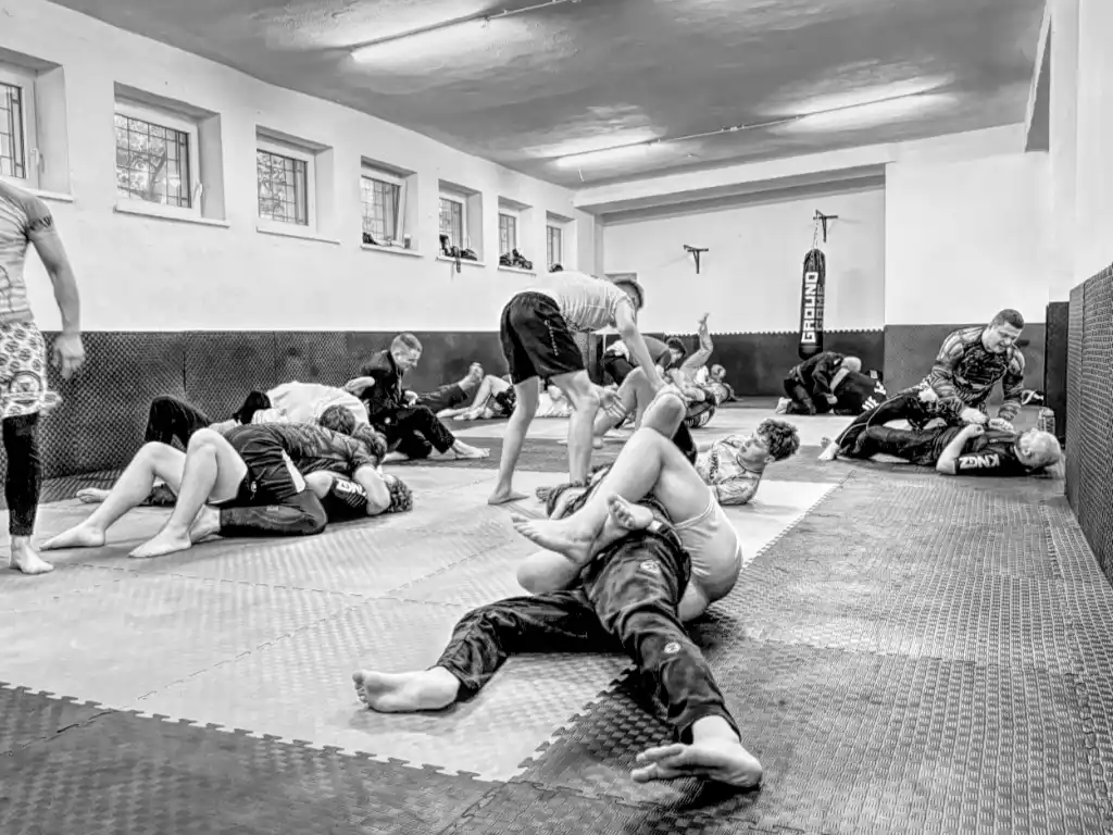 Ethos BJJ 1
